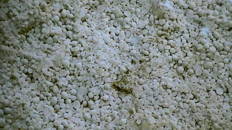 Oolitic Limestone